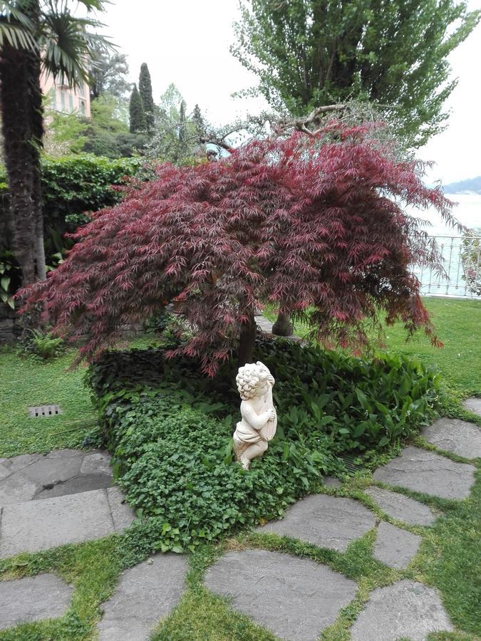 Villa Torretta Varenna Dış mekan fotoğraf